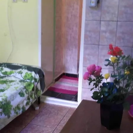 Privat bolig Zorilor